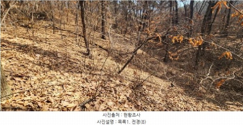 2025타경62418 경기도 파주시 문산읍 당동리 산83 임야 경매 이미지