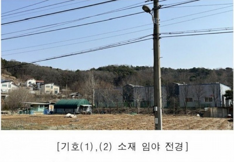 2025타경62418 경기도 파주시 문산읍 당동리 산83 임야 경매 이미지