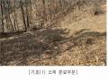 2025타경62418 경기도 파주시 문산읍 당동리 산83 임야 경매 이미지