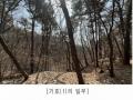 2025타경62418 경기도 파주시 문산읍 당동리 산83 임야 경매 이미지