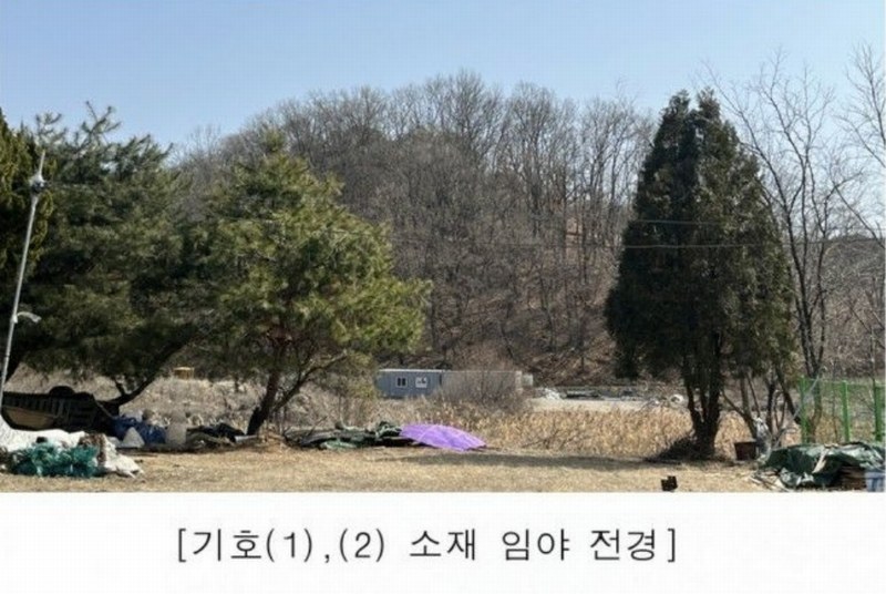 2025타경62418 경기도 파주시 문산읍 당동리 산83 임야 경매 이미지