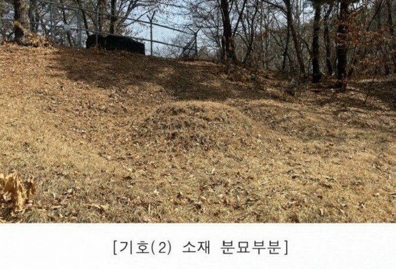 2025타경62418 경기도 파주시 문산읍 당동리 산83 임야 경매 이미지