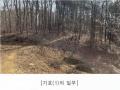 2025타경62418 경기도 파주시 문산읍 당동리 산83 임야 경매 이미지
