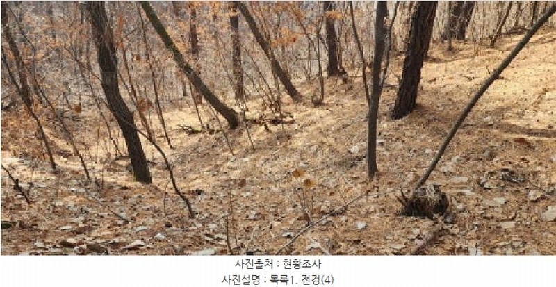 2025타경62418 경기도 파주시 문산읍 당동리 산83 임야 경매 이미지