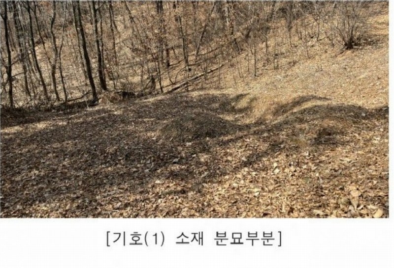 2025타경62418 경기도 파주시 문산읍 당동리 산83 임야 경매 이미지