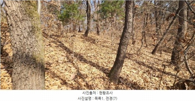 2025타경62418 경기도 파주시 문산읍 당동리 산83 임야 경매 이미지