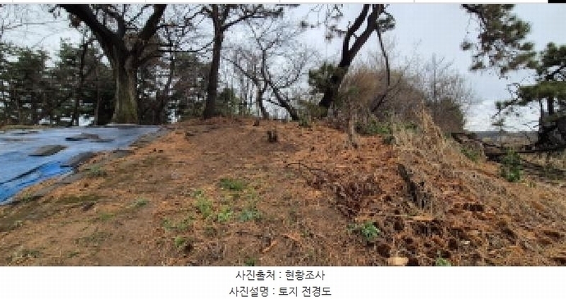 2025타경62752 경기도 고양시 덕양구 대장동 54-13 임야 경매 이미지