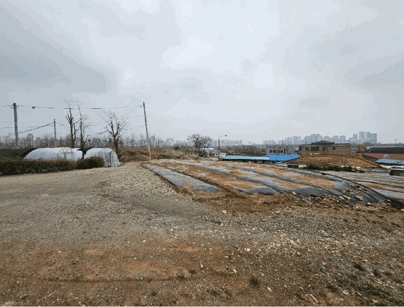 2025타경62752 경기도 고양시 덕양구 대장동 54-13 임야 경매 이미지