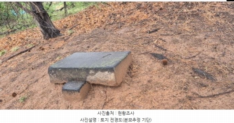 2025타경62752 경기도 고양시 덕양구 대장동 54-13 임야 경매 이미지