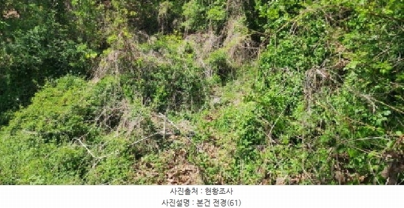 2025타경62971 경기도 파주시 금릉동 산14-13 임야 경매 이미지