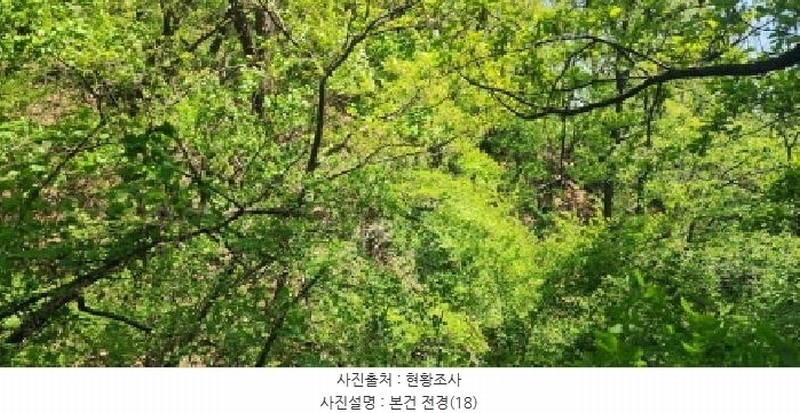 2025타경62971 경기도 파주시 금릉동 산14-13 임야 경매 이미지