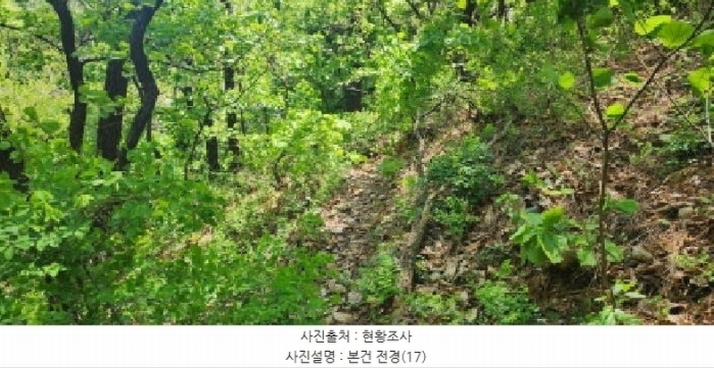 2025타경62971 경기도 파주시 금릉동 산14-13 임야 경매 이미지