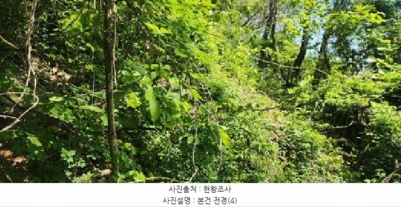 2025타경62971 경기도 파주시 금릉동 산14-13 임야 경매 이미지