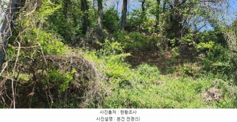 2025타경62971 경기도 파주시 금릉동 산14-13 임야 경매 이미지
