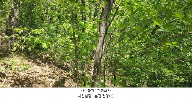 2025타경62971 경기도 파주시 금릉동 산14-13 임야 경매 이미지
