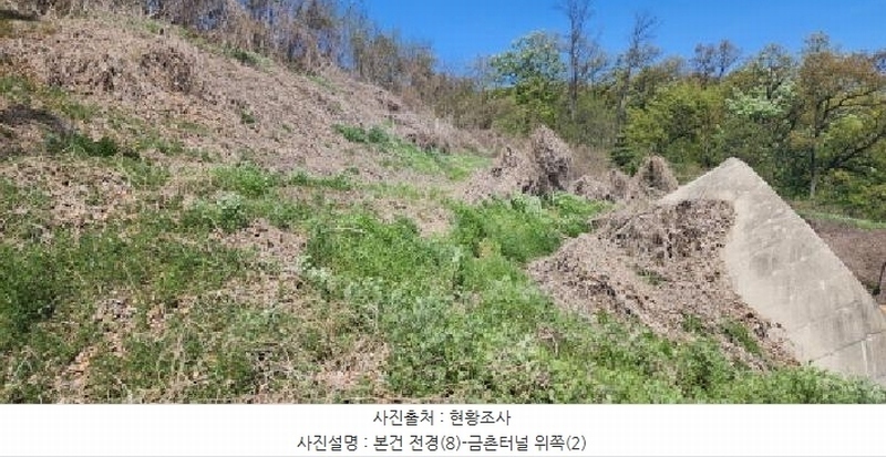 2025타경62971 경기도 파주시 금릉동 산14-13 임야 경매 이미지