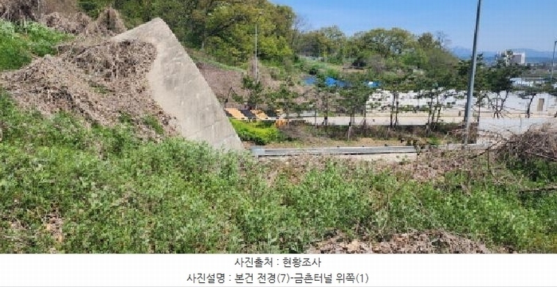 2025타경62971 경기도 파주시 금릉동 산14-13 임야 경매 이미지