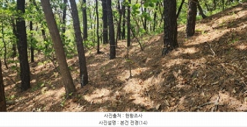 2025타경62971 경기도 파주시 금릉동 산14-13 임야 경매 이미지