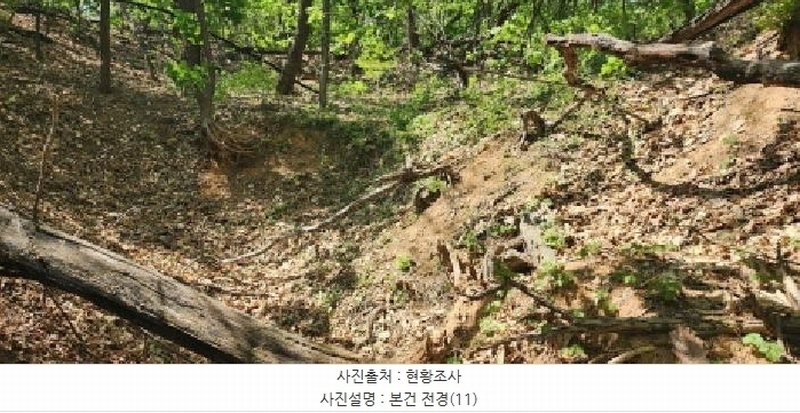 2025타경62971 경기도 파주시 금릉동 산14-13 임야 경매 이미지