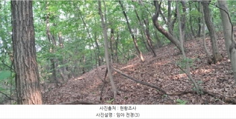 2025타경63175 경기도 파주시 법원읍 동문리 산109 임야 경매 이미지