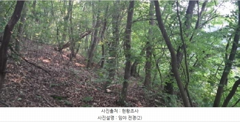 2025타경63175 경기도 파주시 법원읍 동문리 산109 임야 경매 이미지