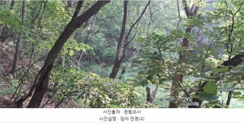 2025타경63175 경기도 파주시 법원읍 동문리 산109 임야 경매 이미지