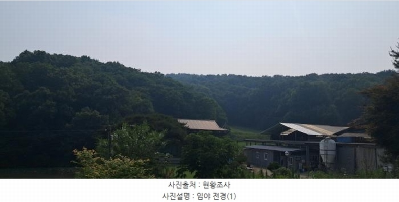 2025타경63175 경기도 파주시 법원읍 동문리 산109 임야 경매 이미지