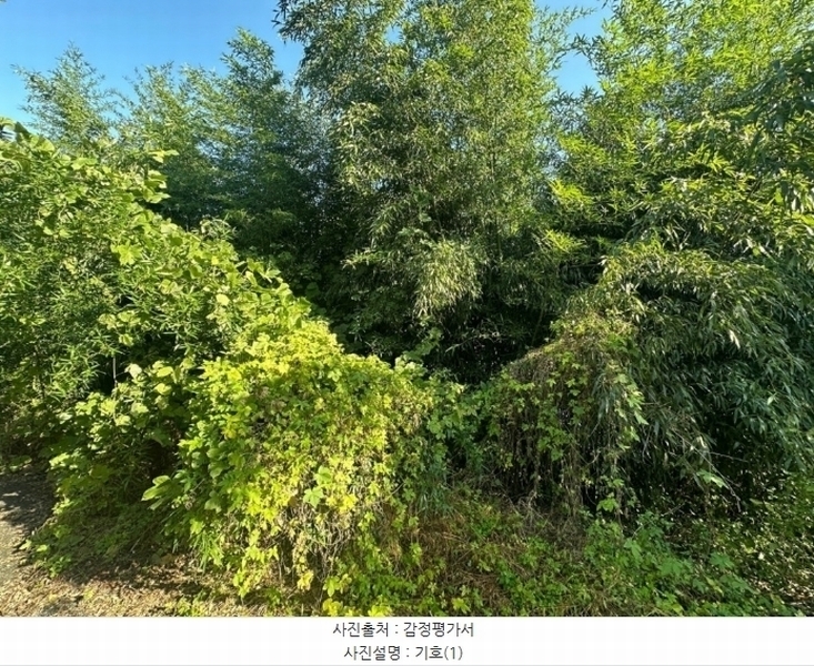 2024타경6645 경상남도 김해시 주촌면 덕암리 888-2 공장 경매 이미지