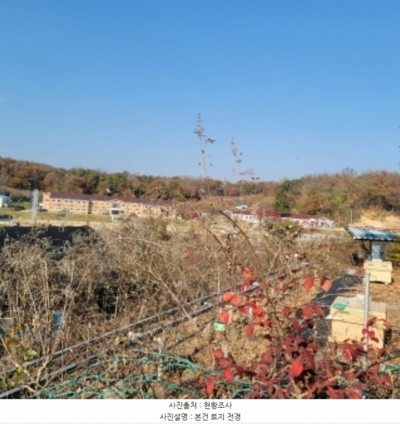 2024타경8221 경기도 파주시 파주읍 향양리 159-3 농지 경매 이미지
