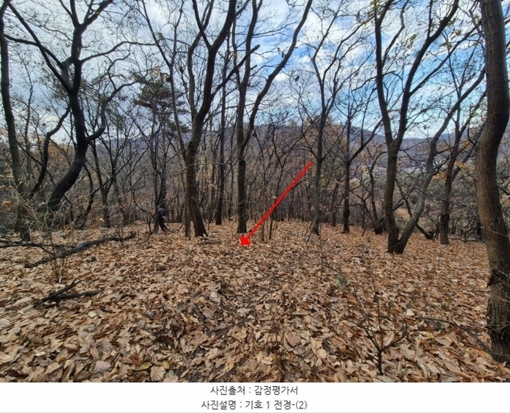 2024타경8375 경기도 파주시 법원읍 직천리 산9 임야 경매 이미지