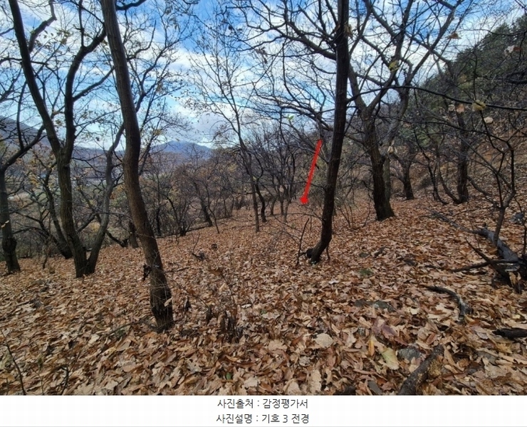 2024타경8375 경기도 파주시 법원읍 직천리 산9 임야 경매 이미지