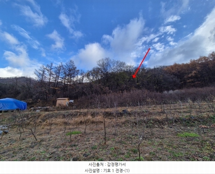 2024타경8375 경기도 파주시 법원읍 직천리 산9 임야 경매 이미지