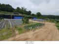 2024타경69219 경기도 파주시 당하동 240-89 농지 경매 이미지