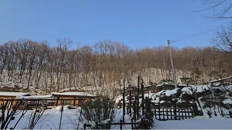 2025타경149 충청북도 음성군 생극면 오생리 산20-3 임야 경매 이미지