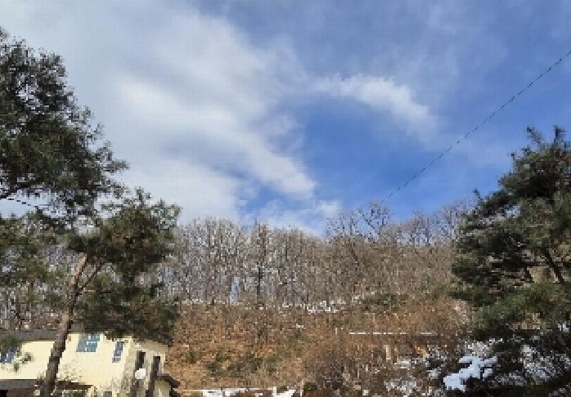 2025타경149 충청북도 음성군 생극면 오생리 산20-3 임야 경매 이미지