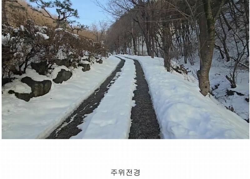 2025타경149 충청북도 음성군 생극면 오생리 산20-3 임야 경매 이미지