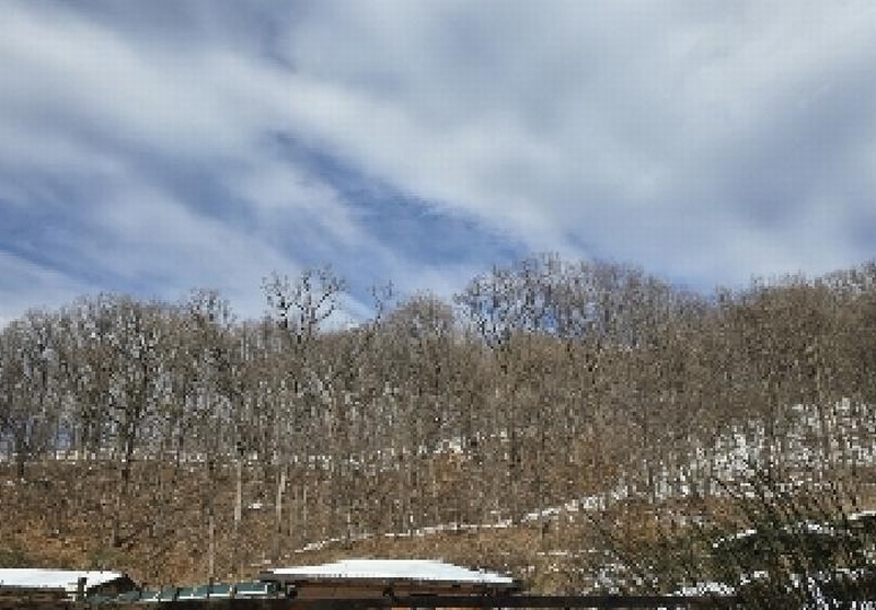2025타경149 충청북도 음성군 생극면 오생리 산20-3 임야 경매 이미지