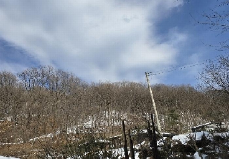 2025타경149 충청북도 음성군 생극면 오생리 산20-3 임야 경매 이미지