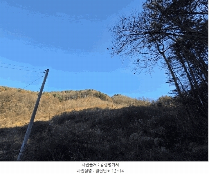 2025타경316 강원특별자치도 홍천군 서면 반곡리 산89 임야 경매 이미지