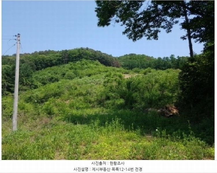2025타경316 강원특별자치도 홍천군 서면 반곡리 산89 임야 경매 이미지
