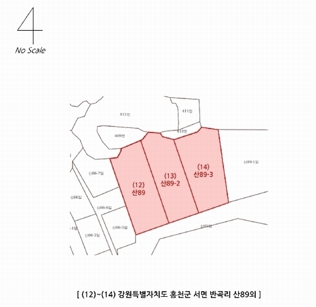 2025타경316 강원특별자치도 홍천군 서면 반곡리 산89 임야 경매 이미지