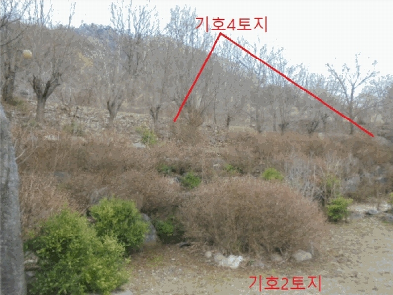 2025타경767 충청북도 충주시 동량면 지동리 845 주택 경매 이미지