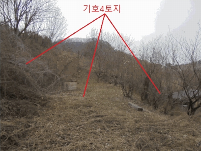 2025타경767 충청북도 충주시 동량면 지동리 845 주택 경매 이미지