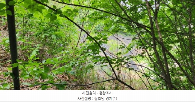 2025타경2213 경기도 파주시 야당동 114-201 잡종지 경매 이미지