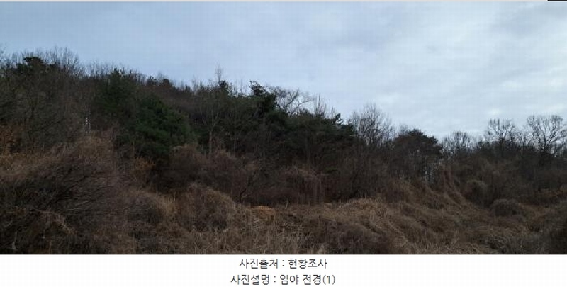 2025타경62450 경기도 파주시 파주읍 향양리 산25-2 임야 경매 이미지