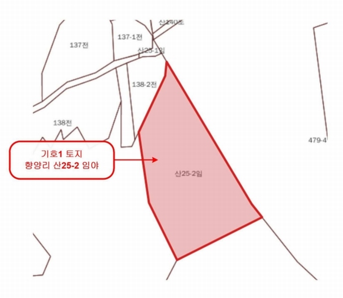 2025타경62450 경기도 파주시 파주읍 향양리 산25-2 임야 경매 이미지