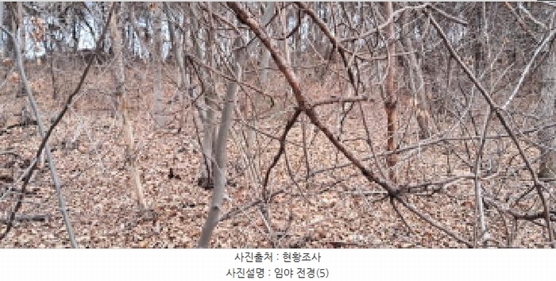 2025타경62450 경기도 파주시 파주읍 향양리 산25-2 임야 경매 이미지