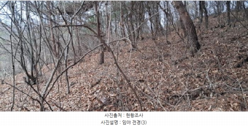 2025타경62450 경기도 파주시 파주읍 향양리 산25-2 임야 경매 이미지