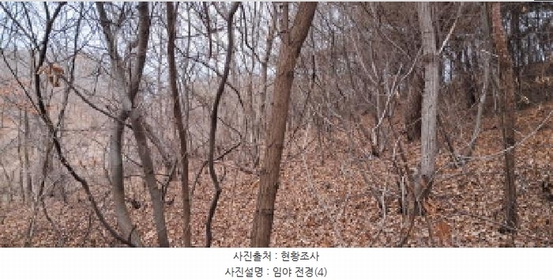2025타경62450 경기도 파주시 파주읍 향양리 산25-2 임야 경매 이미지