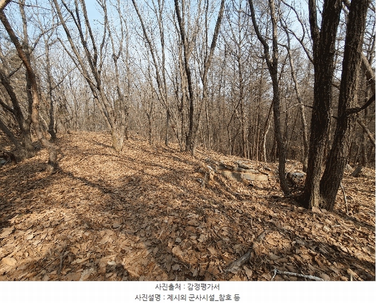 2025타경62450 경기도 파주시 파주읍 향양리 산25-2 임야 경매 이미지